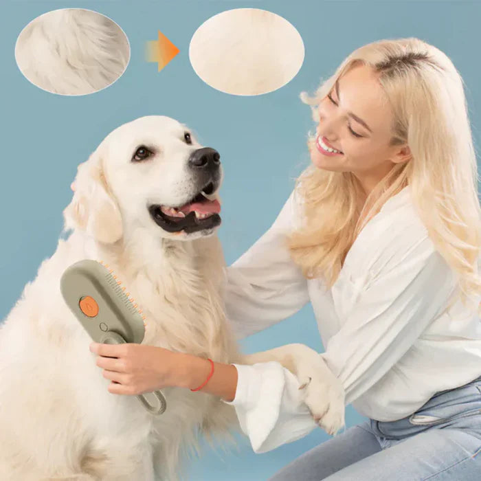🐶 𝗖𝗘𝗣𝗜𝗟𝗟𝗢 𝗦𝗣𝗔 𝗣𝗔𝗥𝗔 𝗠𝗔𝗦𝗖𝗢𝗧𝗔 🐱